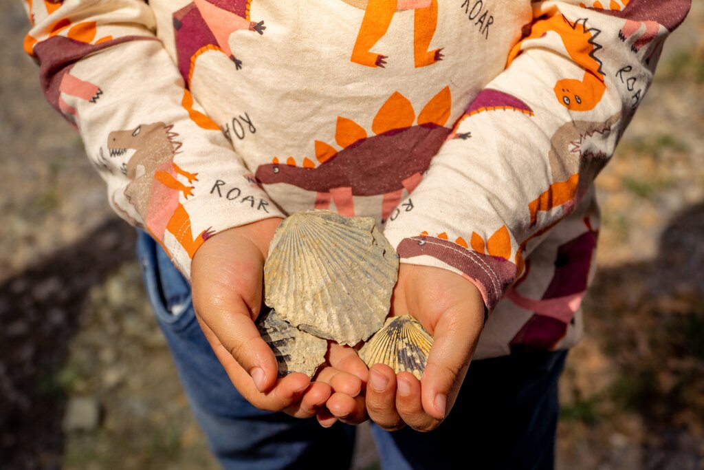 Boy fossil hunting