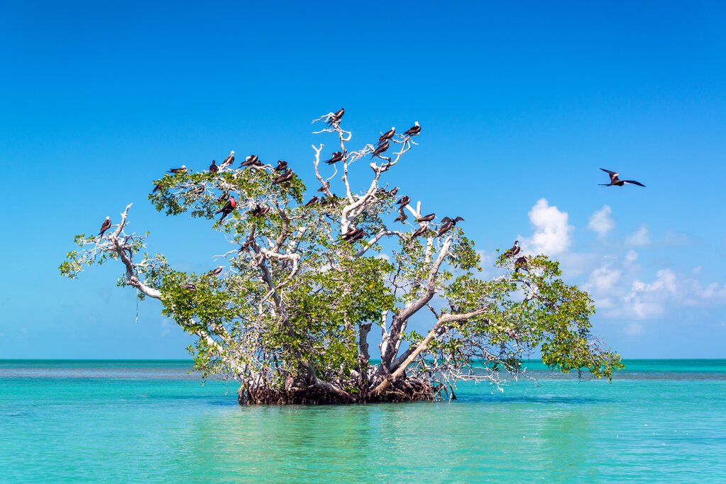 Float in the Muyil Sian Ka'an Biosphere Reserve
