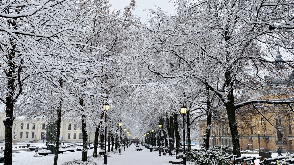 Explore Oslo's manicured parks