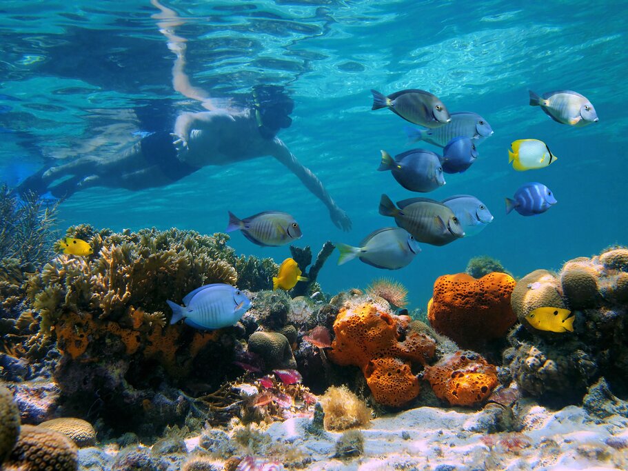 Adventure in Guna Yala & San Blas Islands  - Day 3 -  Waili Island