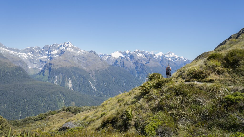 Routeburn Track