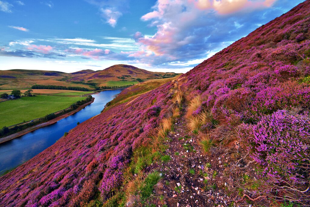 Pentland Hills