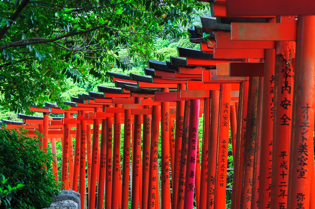 Discover Tokyo's Hidden Gems: Gotokuji Temple, Jimbocho Book Town and Nezu Shrine