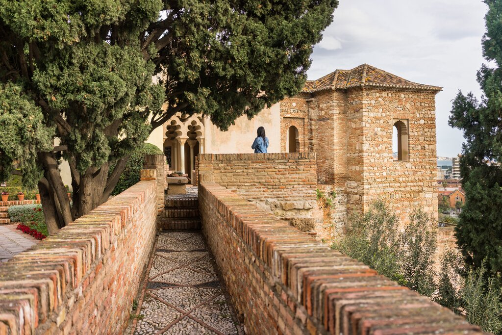 Discover Málaga's best spots on a walking tour