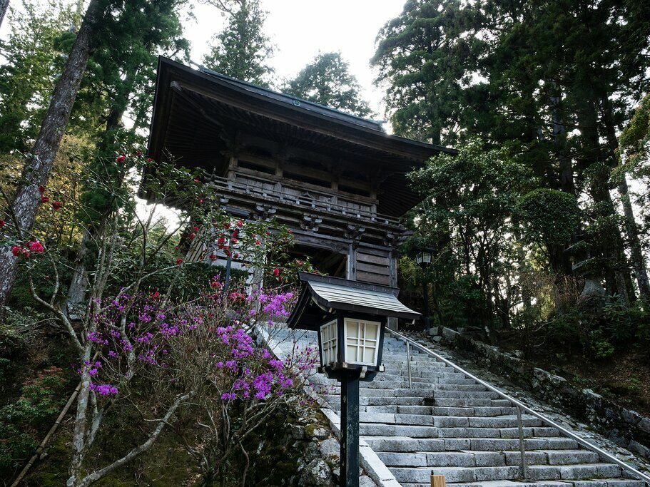 Experience the culture and ancient traditions of the Shikoku Pilgrim trail's many temples
