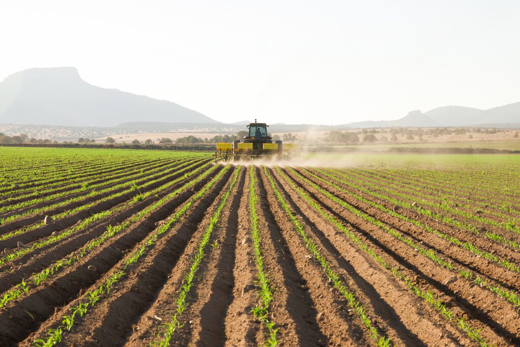 Mennonite Farm in Mexico