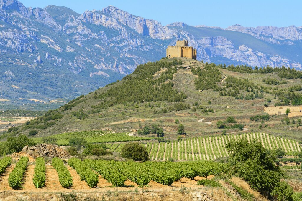 Visit wineries in the La Rioja region during this partial road trip
