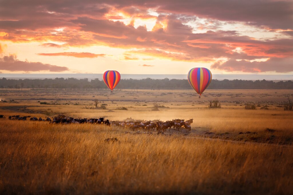 Masai Mara Game Drives
