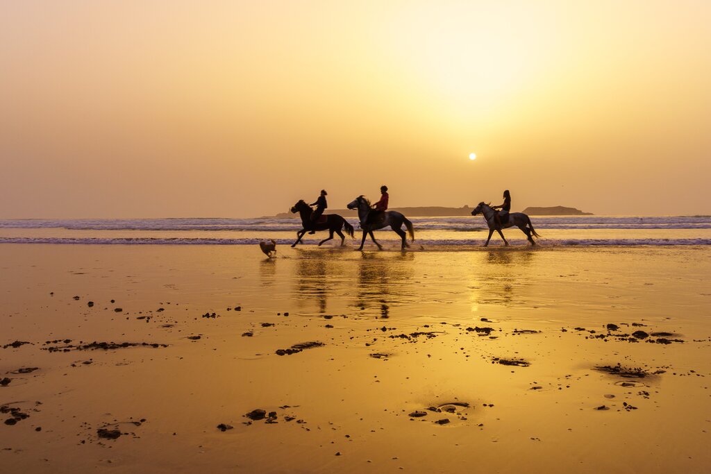 Horseback Riding on the Captivating Beach of Essaouira