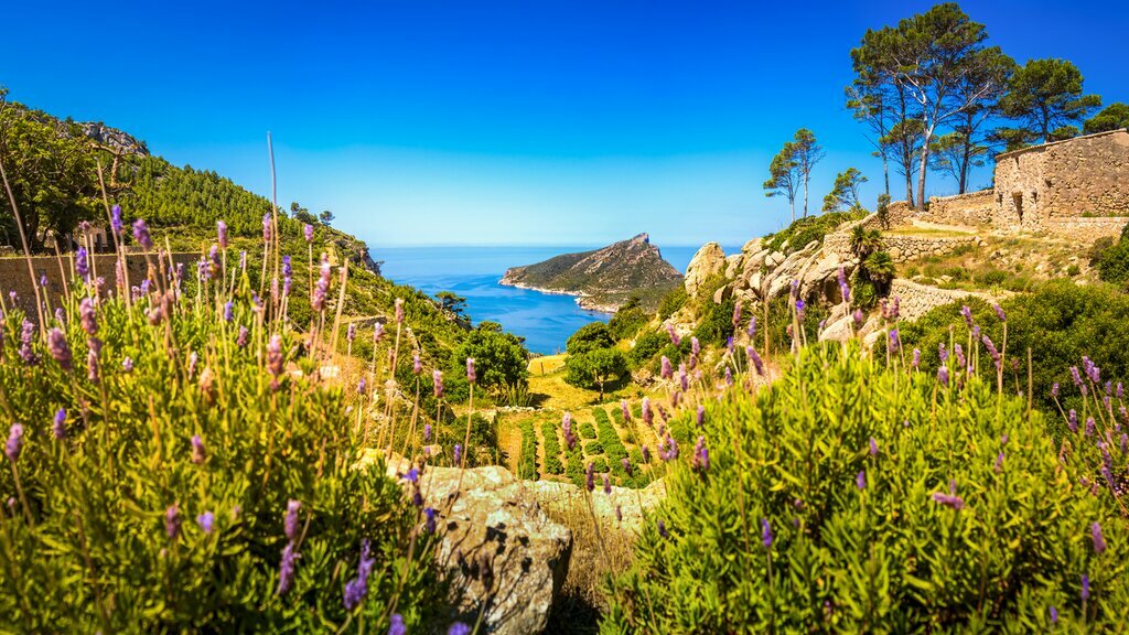 Finish your trip with hiking and wine tasting on Mallorca