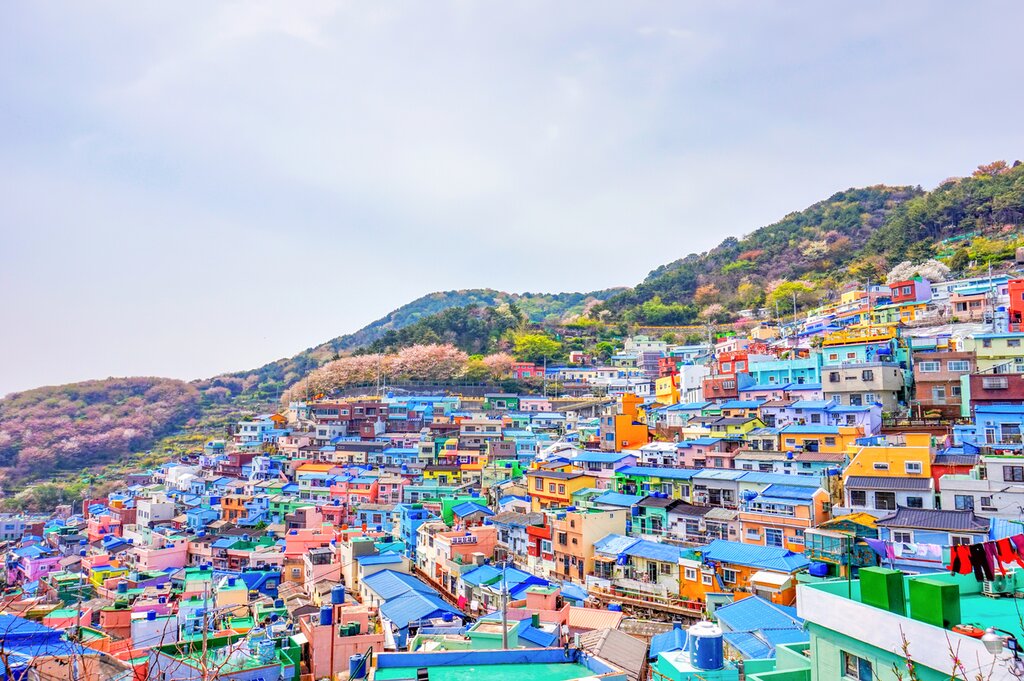 Half Day Gamcheon Village, BIFF Square and Jagalchi Market