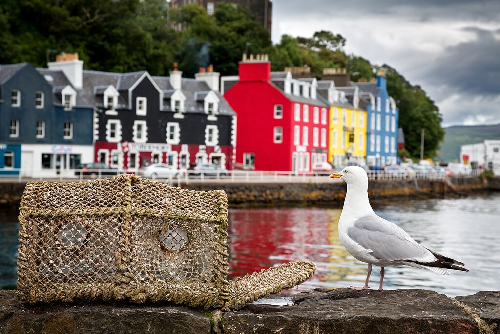 Uncover the lovely Tobermory