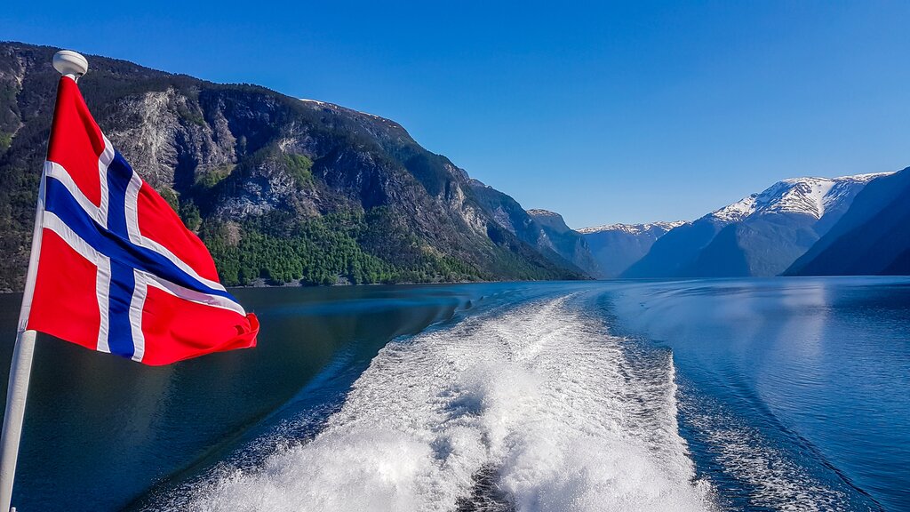 Summer Fjord Safari on a RIB boat