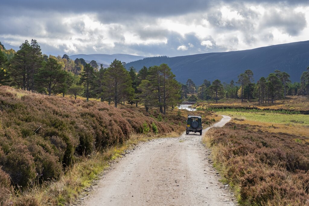 Cairngorms National Park Wildlife tour with a specialist