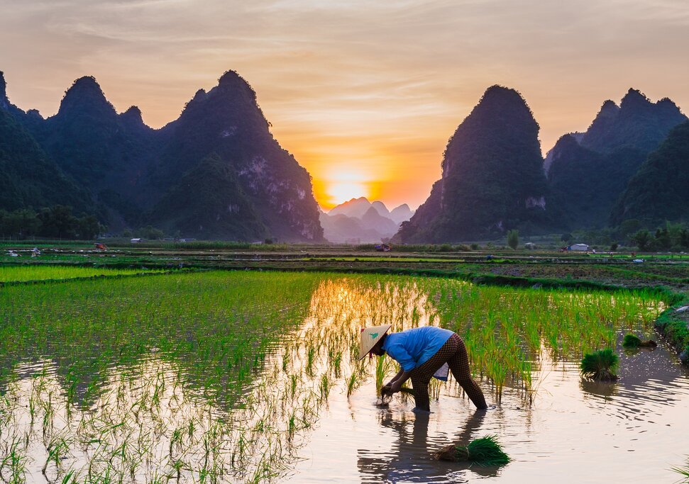 Leisure Time in Ninh Binh