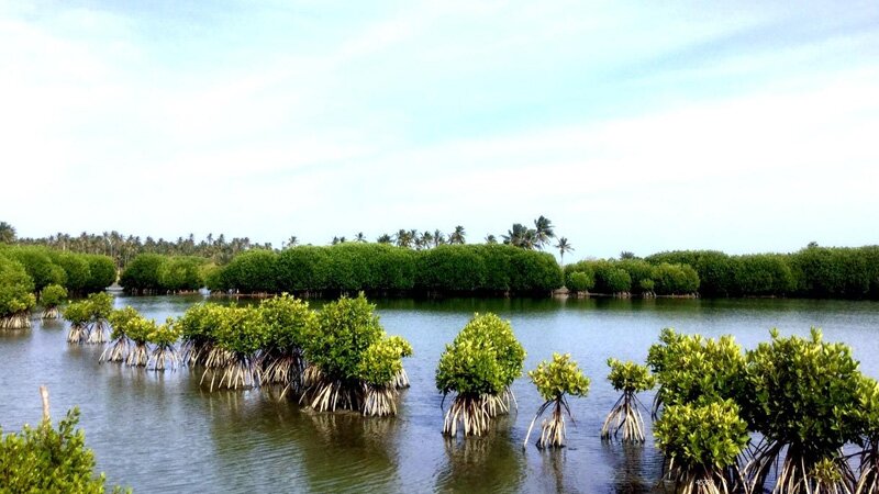 Kalpitiya