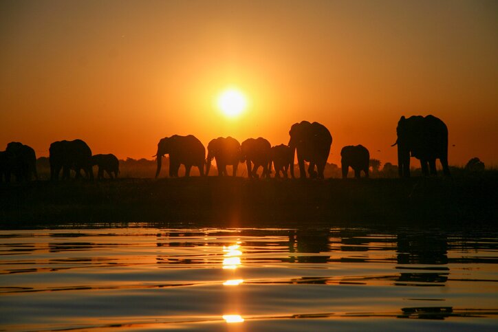 Sunset in Kruger