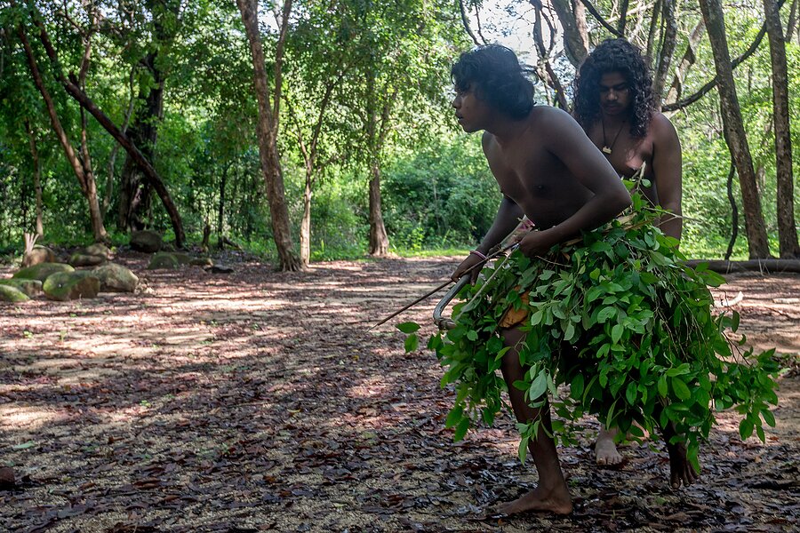 Vedda villagers hunting with traditional weapons