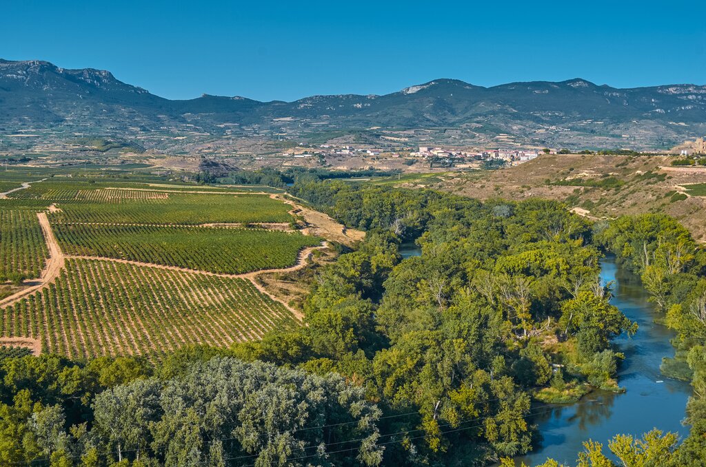 Vineyards and rivers leading to Sajazarra