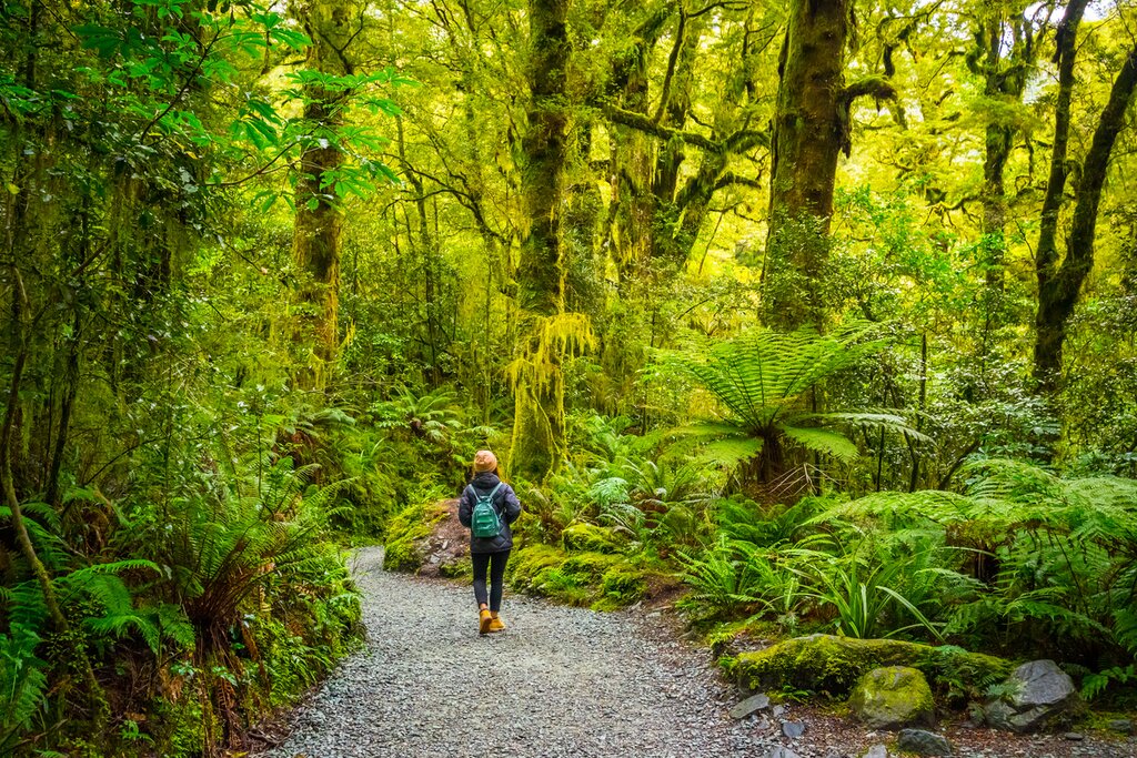 Enjoy a mix of guided excursions and free time to choose your own hiking adventures