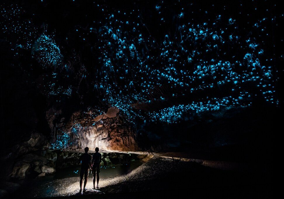 A glowworm cave in Waitomo