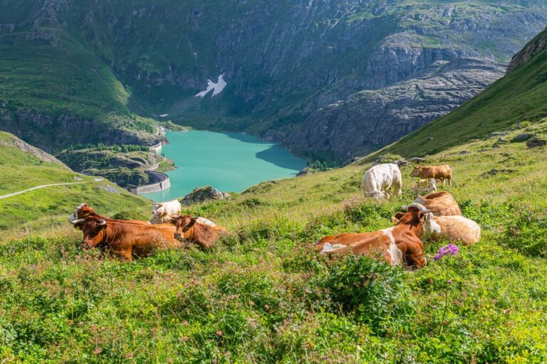 Austria In June Travel Tips Weather More