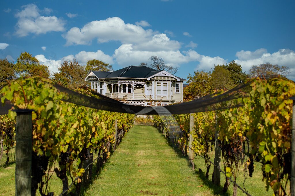 Visit charming wineries in the Martinborough area