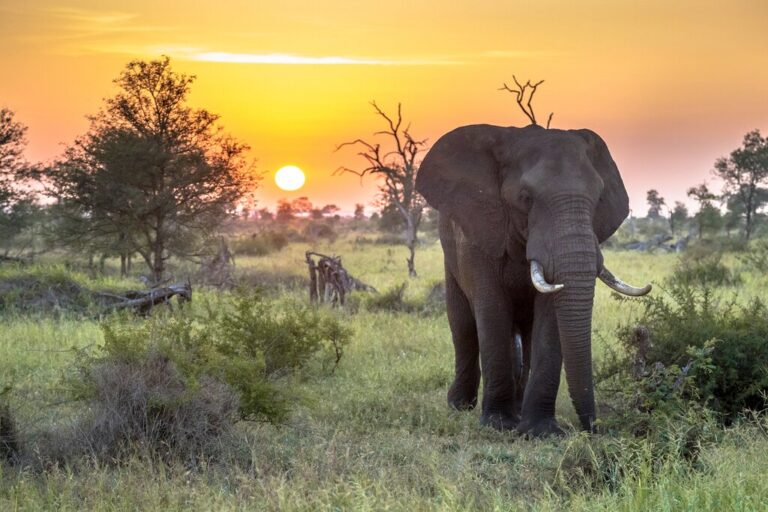 3 Weeks in South Africa - 3 Unique Itinerary Ideas