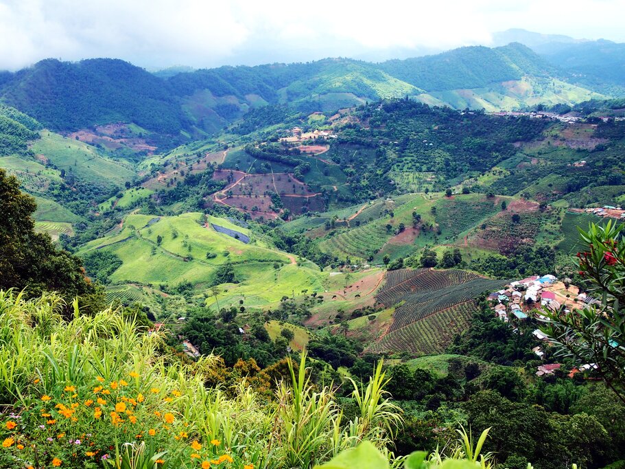 Doi Maesalong - Golden Triangle.