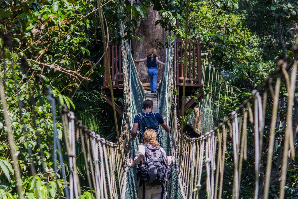 Explore the attractions of Taman Negara