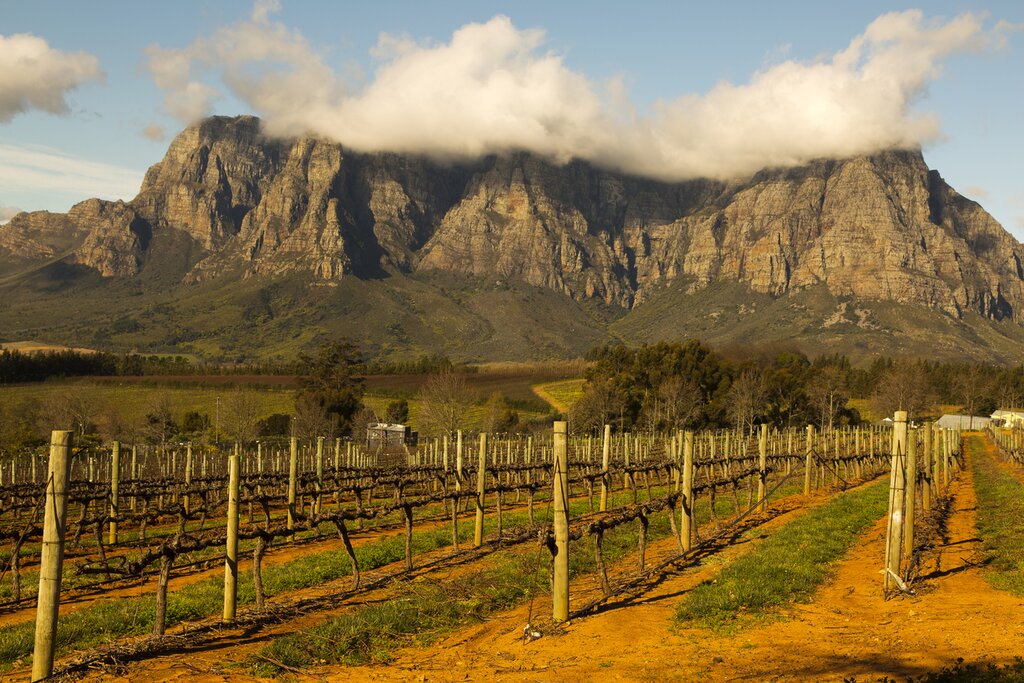 End your trip with winery tours (and tastings) in the Cape Winelands
