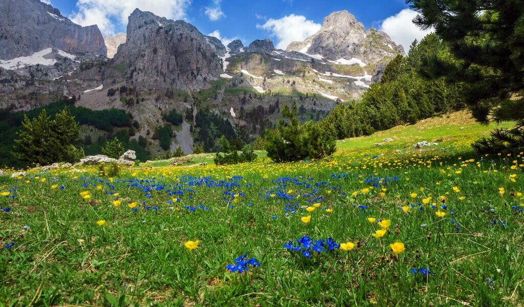 original-623cbf4333b58767c98f0a2dc56452a1