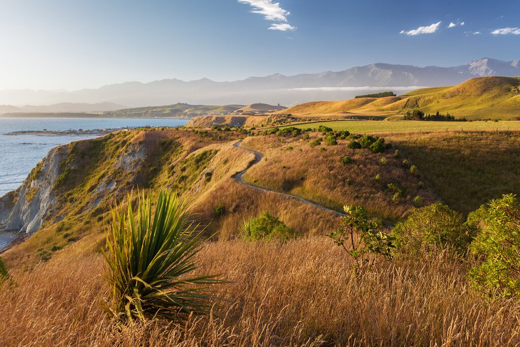 Golden sunset over Kaikoura Peninsula Walkway, Canterbury, New Zealand
