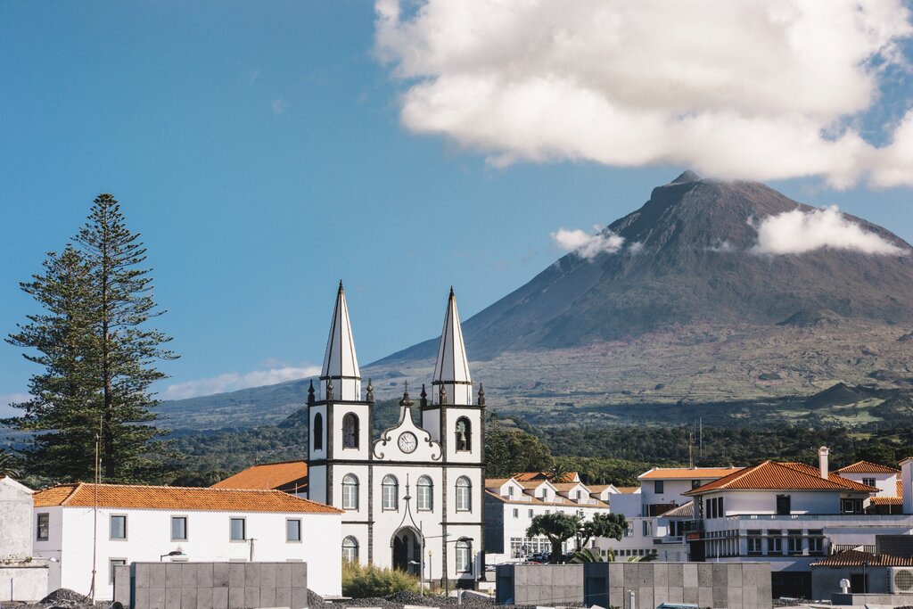 Vinewards in Pico  Island