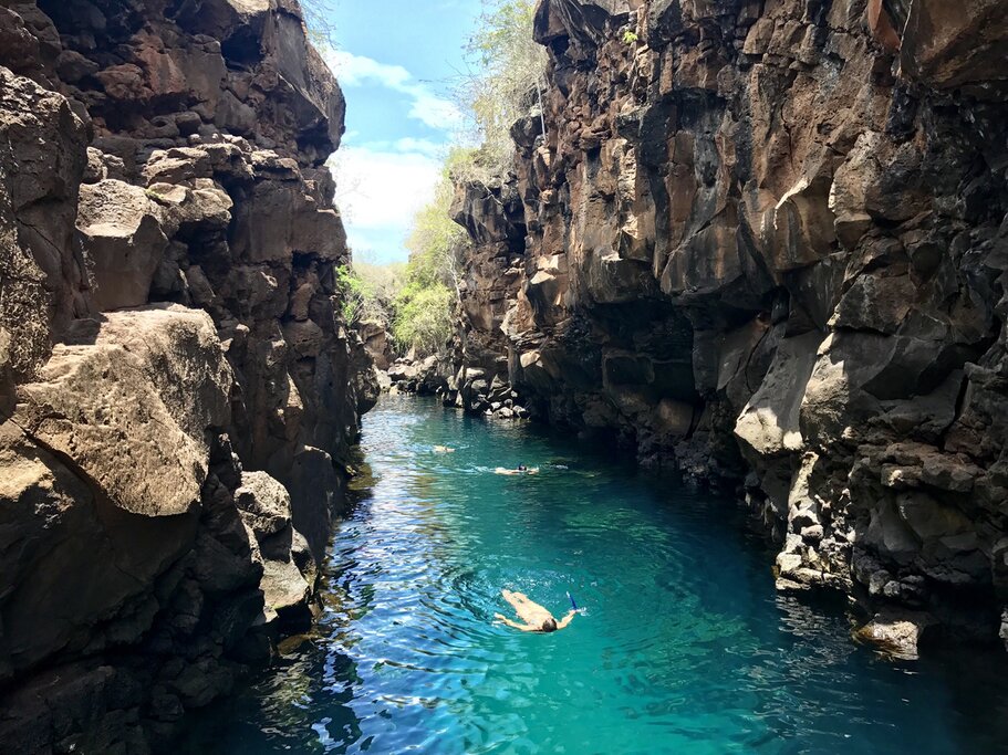 Swim through Los Túneles' natural rock formations as you explore Galápagos