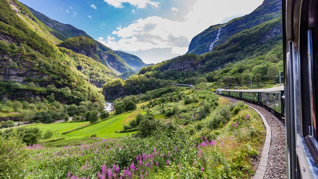 Flåm