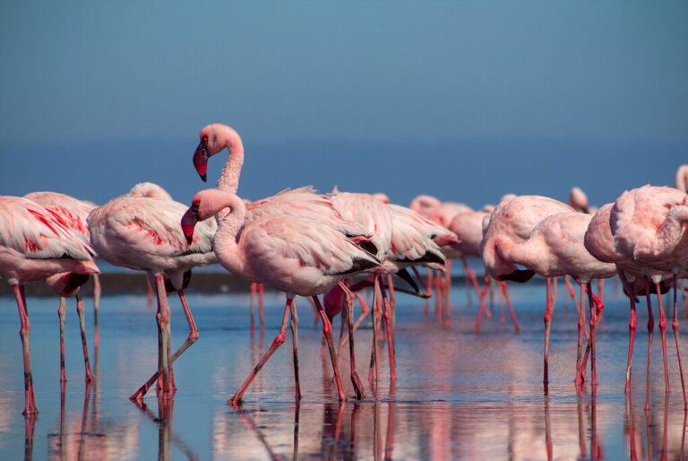 Namibia In February Travel Tips Weather More