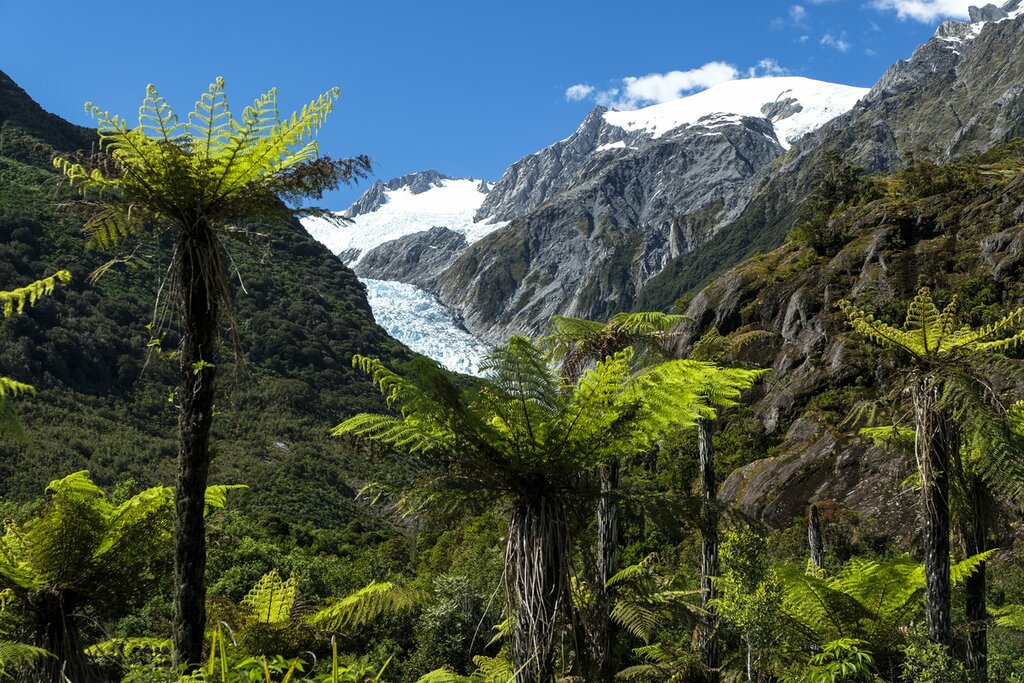 Franz Josef Glacier