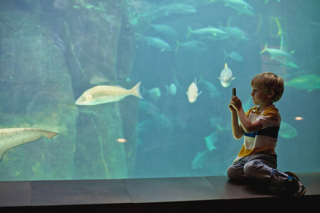 Two Oceans Aquarium