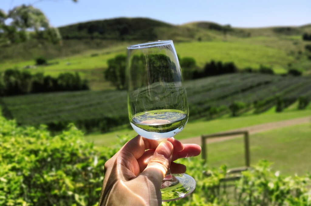 Waiheke Wine tour exclusive
