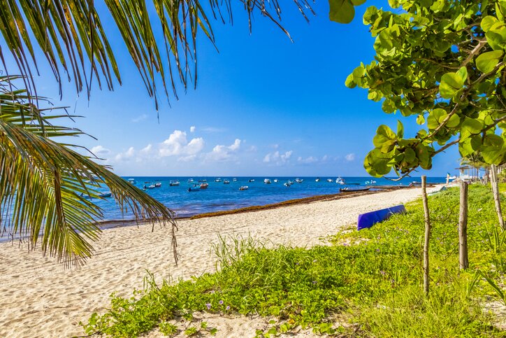 Free Day in Playa del Carmen