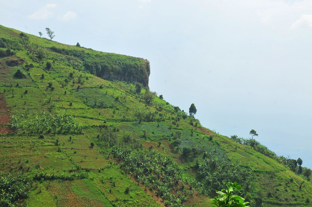 Day 3: Hiking Mount Elgon - From Kajery Camp to Mude Camp