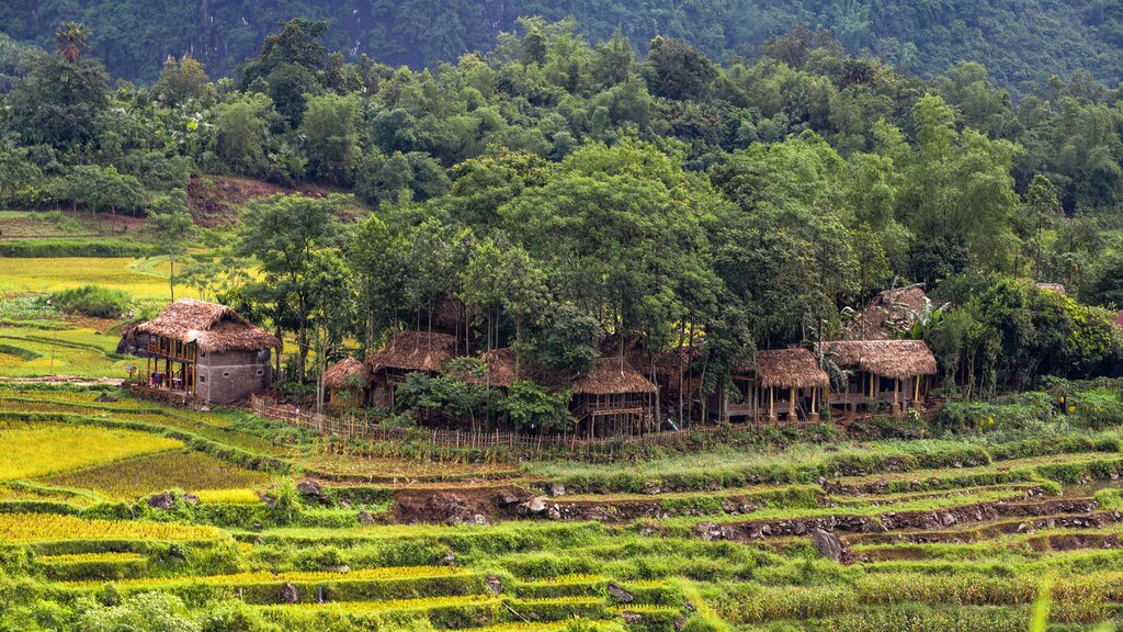 Mai Chau - Pu Luong Nature Reserve