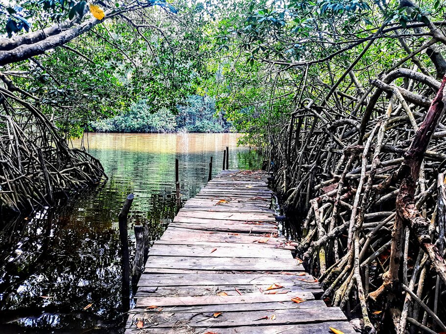 Nautical Safari at Chacahua Lagoons National Park