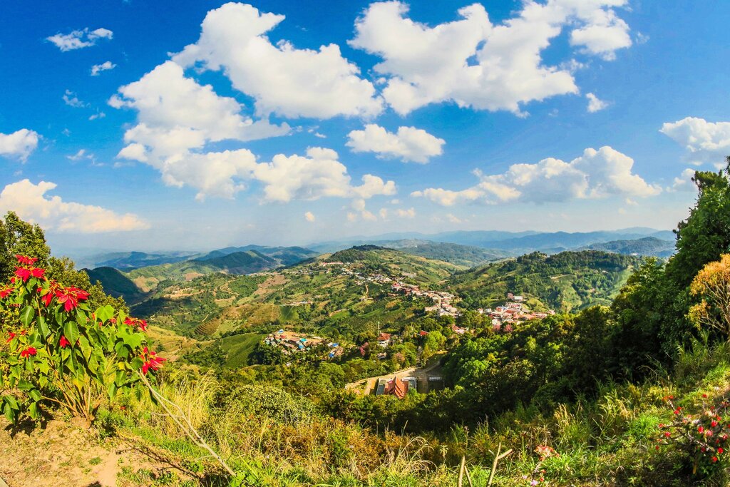 Discover Doi Mae Salong and Golden Triangle