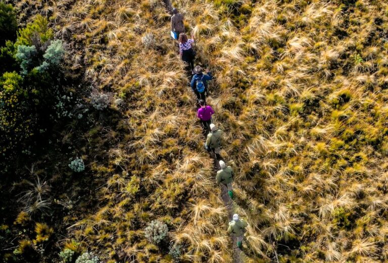 Active Uganda Adventure - 10 Days
