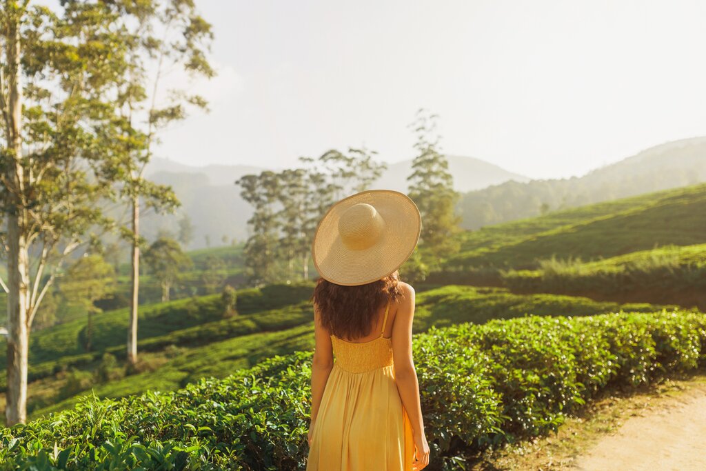A trek to Sri Lanka’s First Tea Estate