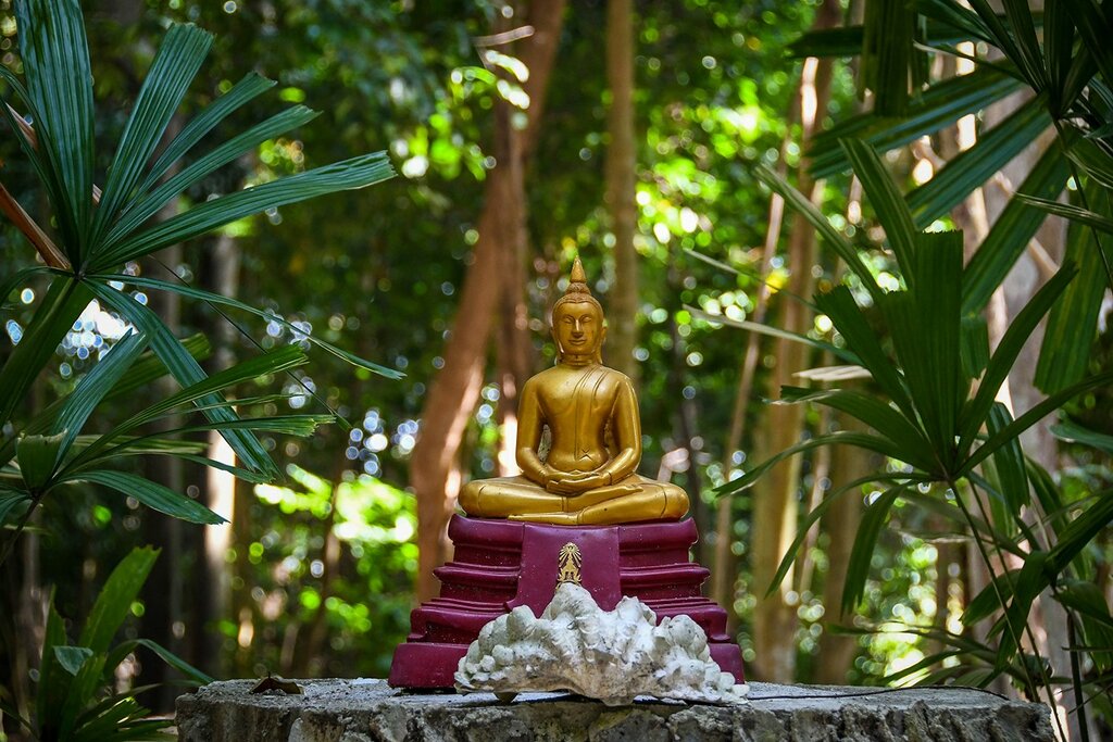 Morning Meditation at Wat Hantalay Temple and small Alms Giving Ceremony