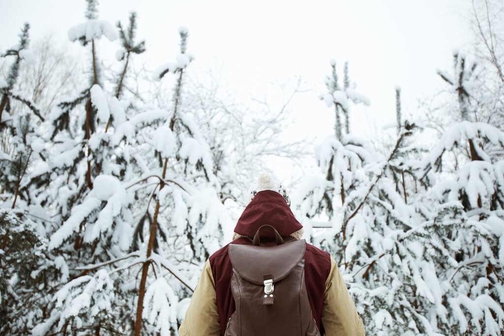 Stockholm Snowshoe Saga: A Swedish Winter Wilderness Trek
