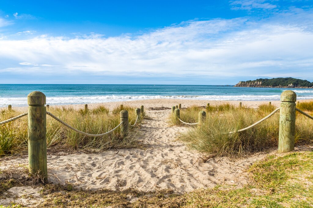 Tauranga